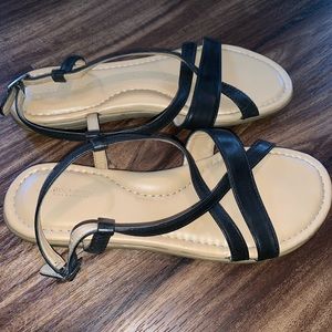 Rockport sandals